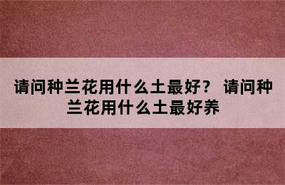 请问种兰花用什么土最好？ 请问种兰花用什么土最好养